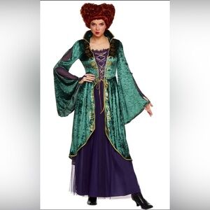 Spirit Disney Hocus Pocus Winnie
Sanderson Halloween Witch
Costume Adult 1 X